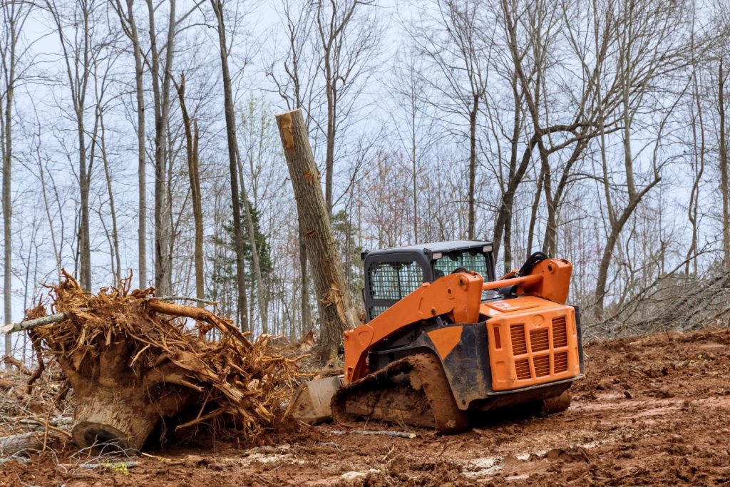 Forestry Mulching