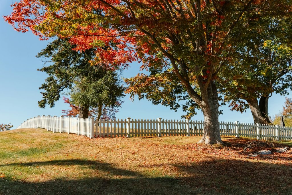 Fence Line Clearing