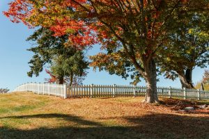 Fence Line Clearing