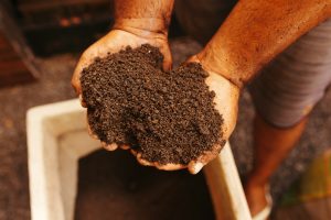Soil Stabilization