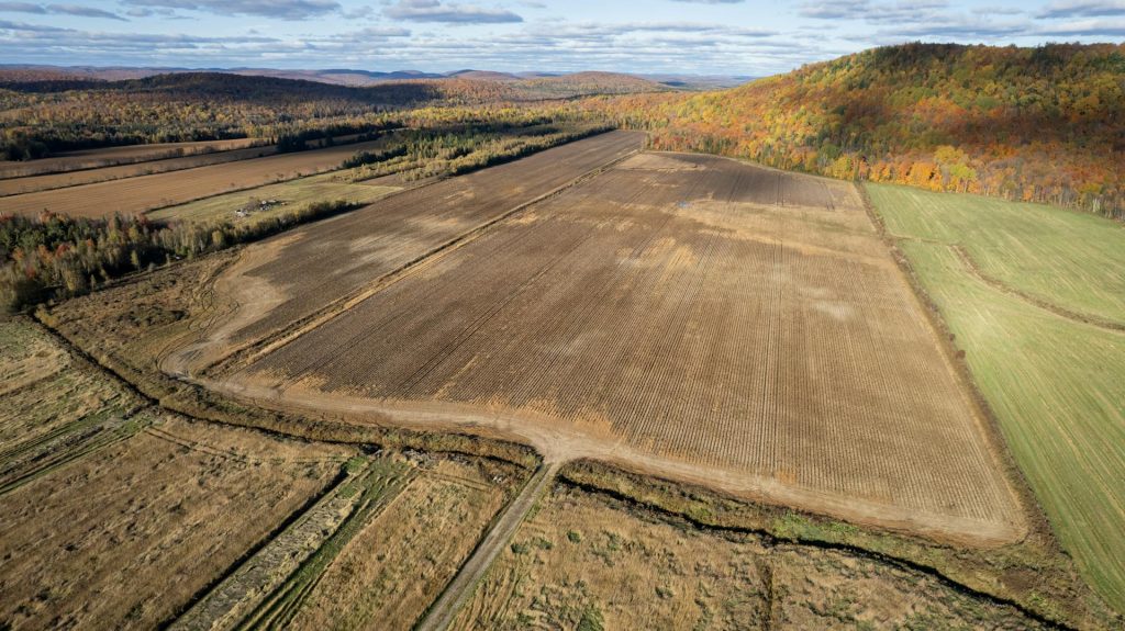 Land Clearing in Agriculture