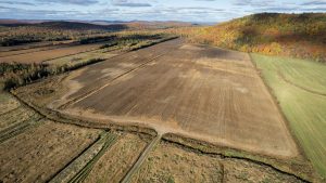 Land Clearing in Agriculture