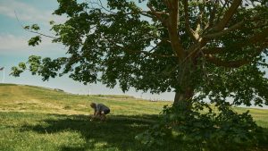 Clearing Underbrush