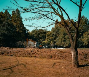 Land Clearing