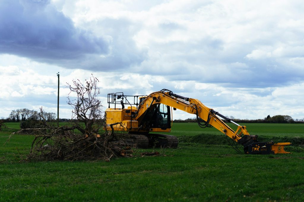 Clear Land